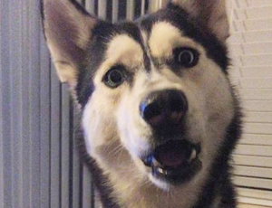 24小时轰炸对方的电话